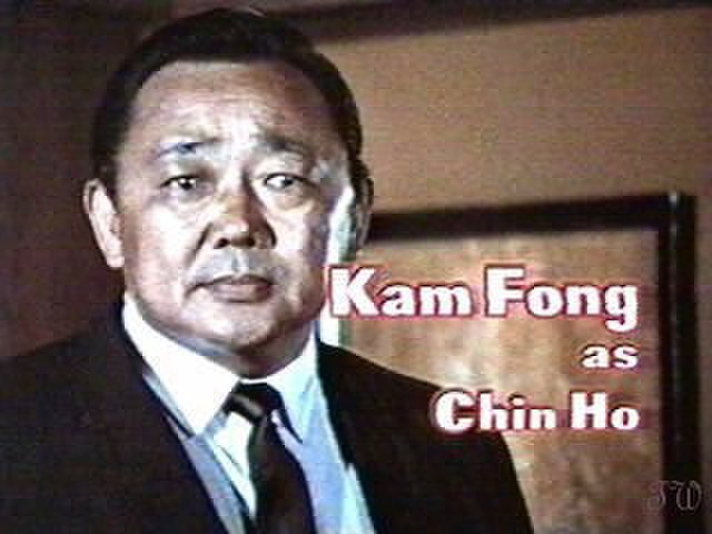 Kam Fong Chun played Chin Ho Kelly.