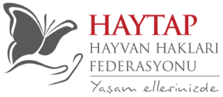 <span class="mw-page-title-main">HAYTAP</span>