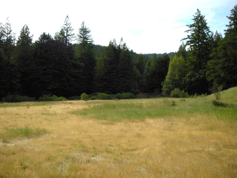 File:Humboldtmeadow.jpg