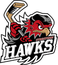 Логотип Streatham Hawks.png