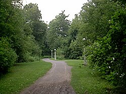 A recreational path in Hampton Park