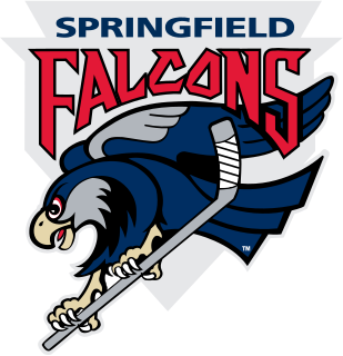 Springfield Falcons Former ice hockey team in the American Hockey League