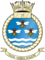 771NAS Crest.png 