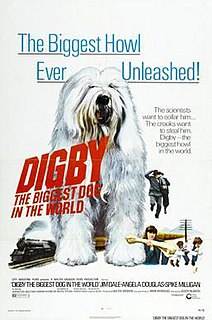 <i>Digby, the Biggest Dog in the World</i> 1973 British film