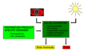 Helioculture combines brackish water (or graywater), nutrients, photosynthetic organisms, carbon dioxide, and sunlight to create fuel. Helioculture image.png