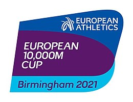 Birmingham 2021 logo.jpg