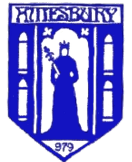 Amesbury Town F.C. Association football club in England