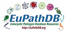 EuPathDB Logo.jpg 