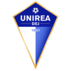 FC Unirea Dej logo.png