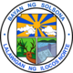 Solsona Ilocos Norte.png