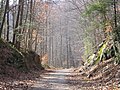 Thumbnail for List of rail trails in New Jersey