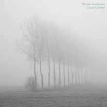 A photograph of a row of dead trees, obscured by a dense fog.