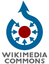 Move to Wikimedia Commons