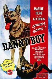 <i>Danny Boy</i> (1946 film) 1946 film by Terry O. Morse