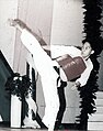 Karatedo.jpg