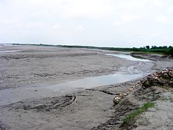 Silt deposition near Kosi embankment at Navbhata, Saharsa, Bihar, India Silt deposition at Kosi embankment at Navbhata near Saharsa.JPG