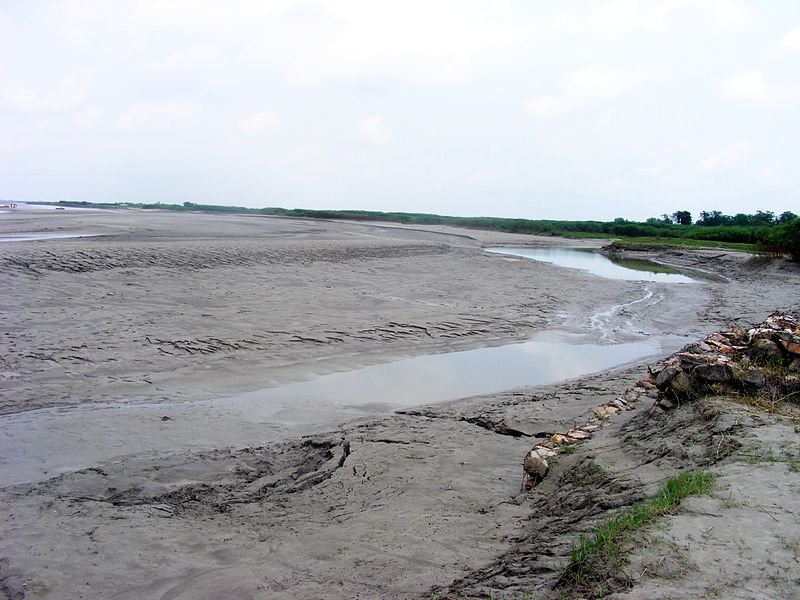 File:Silt deposition at Kosi embankment at Navbhata near Saharsa.JPG