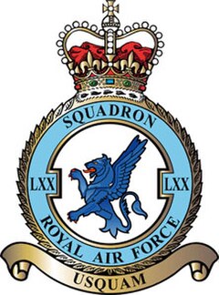 Squadron badge