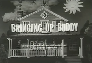 <i>Bringing Up Buddy</i> American sitcom