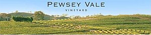 Pewsey Vale vineyard.jpg