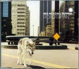 <span class="mw-page-title-main">Road Trippin'</span> Song by Red Hot Chili Peppers