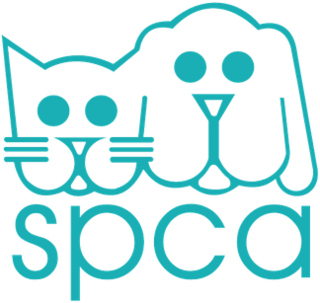 <span class="mw-page-title-main">SPCA Selangor</span> Non-profit animal shelter organization in Selangor, Malaysia