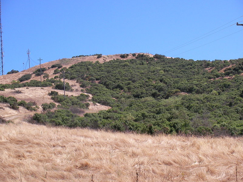 File:Coyote peak 1.JPG