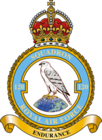 Squadron badge