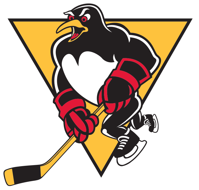 Pittsburgh Pirates (NHL), Ice Hockey Wiki