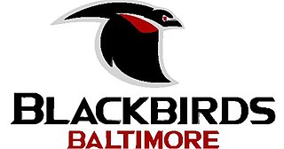 <span class="mw-page-title-main">Baltimore Blackbirds</span> Indoor football team