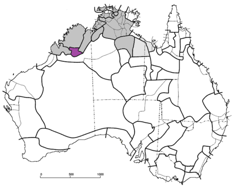 Bunuban languages