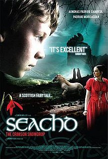 <i>Seachd: The Inaccessible Pinnacle</i> 2007 British film