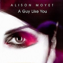 Alison Moyet Ein Typ wie du 2007 single cover.jpg