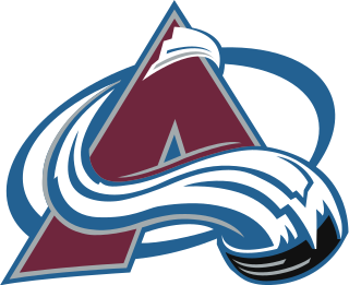 Colorado Avalanche hockey team of the National Hockey League