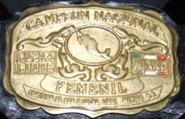 Uma placa frontal dourada em um cinto de campeonato