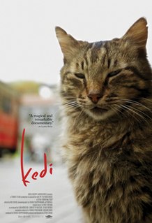 <i>Kedi</i> (2016 film) 2016 Turkish documentary film by Ceyda Torun