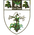 The old Kildare GAA crest, showing oak trees, acorns and lily flower, was replaced by the current crest in 2005. Kildare GAA 1990s crest.png