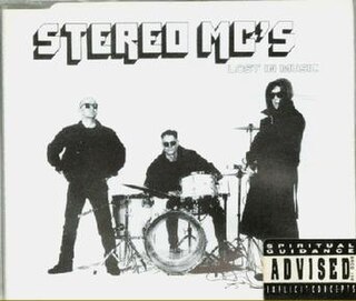 <span class="mw-page-title-main">Lost in Music (Stereo MC's song)</span> 1991 single by Stereo MCs