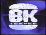 BK Tee Vee-logo.png