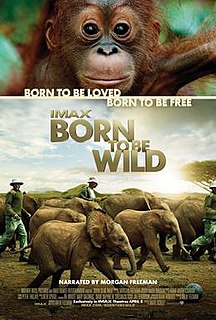 <i>Born to Be Wild</i> (2011 film) 2011 American film