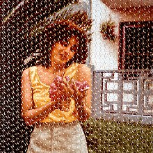 An image, covered in bubble wrapping, of a woman holding flowers in front of a house.