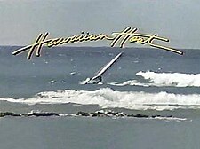 Havajano Heat Title Screen.jpg