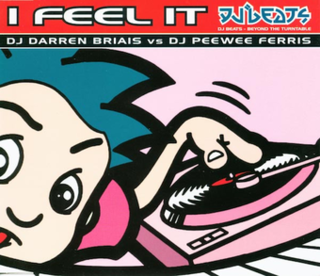 <span class="mw-page-title-main">I Feel It</span> 1995 single by DJ Darren Briais vs DJ Pee Wee Ferris