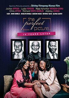 <i>The Perfect Picture: Ten Years Later</i> Ghanaian Film