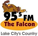 Former logo. WDSR 95.5 The Falcon logo.jpg