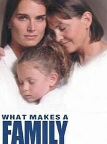 What Makes a Family (2001) Film Poster.jpg