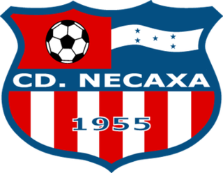 <span class="mw-page-title-main">C.D. Necaxa</span> Football club