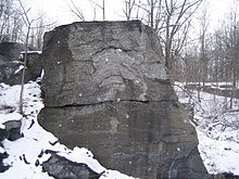 Stromatoporoid at Fisk Quarry, Isle La Motte, Vermont Chazy Reef Isle La Motte.jpg