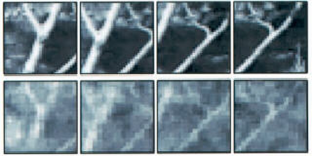 Yang Dan and colleagues' recordings of cat vision using a BCI implanted in the lateral geniculate nucleus (top row: original image; bottom row: record