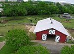 Bluebird Gap Farm